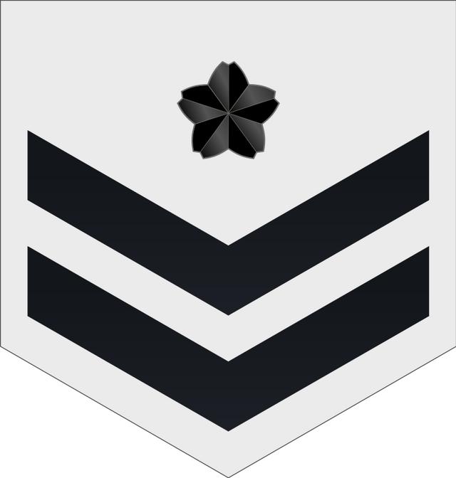 军衔等级排行和图片(日本军衔等级)