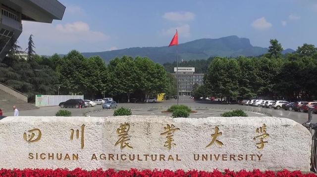 四川省内有什么大学排行榜(四川的大学排名2022最新排名)