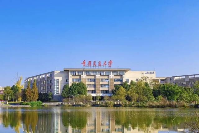 重庆审计专业最好的学校排名(重庆大学最厉害的专业)