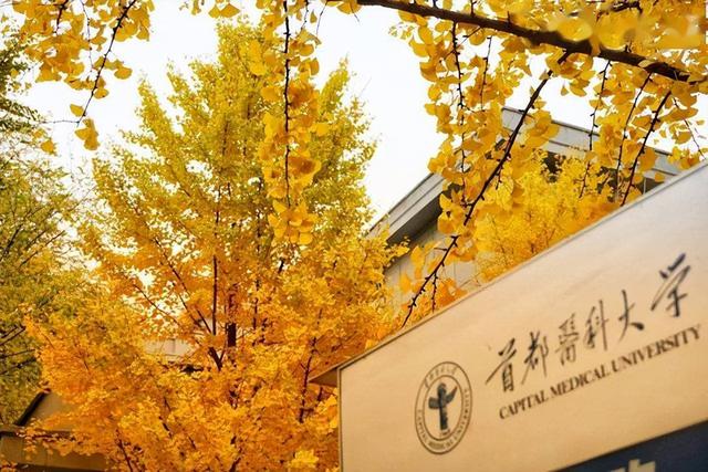 中国大学排名医学类2022年(我国重点医学院校排名)