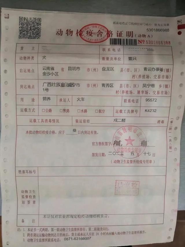 带宠物怎么坐动车(高铁上如何才能带宠物)