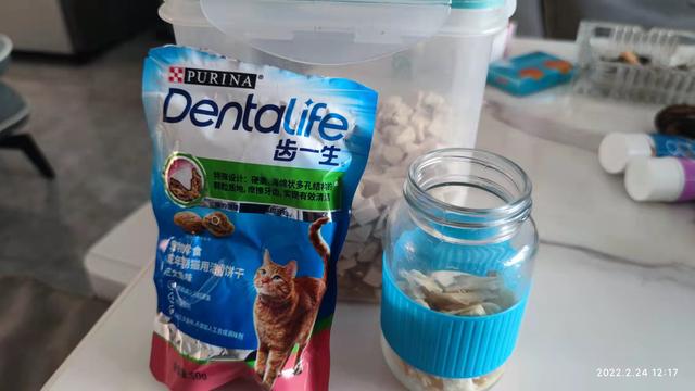 宠物猫营养补充剂益生菌怎么喂(猫日常营养品)