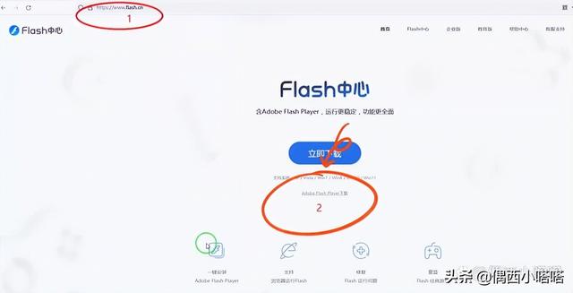 flash是什么软件有什么用(浏览器禁止了flash)