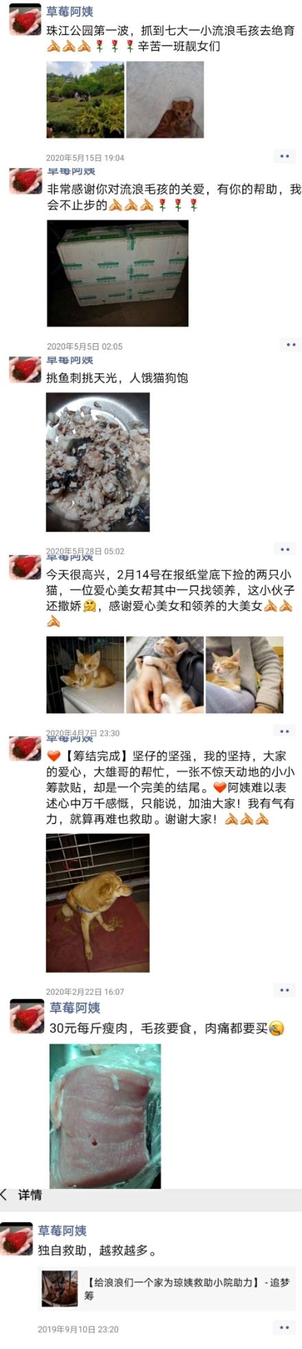58同城网宠物猫领养(广州宠物猫58同城)