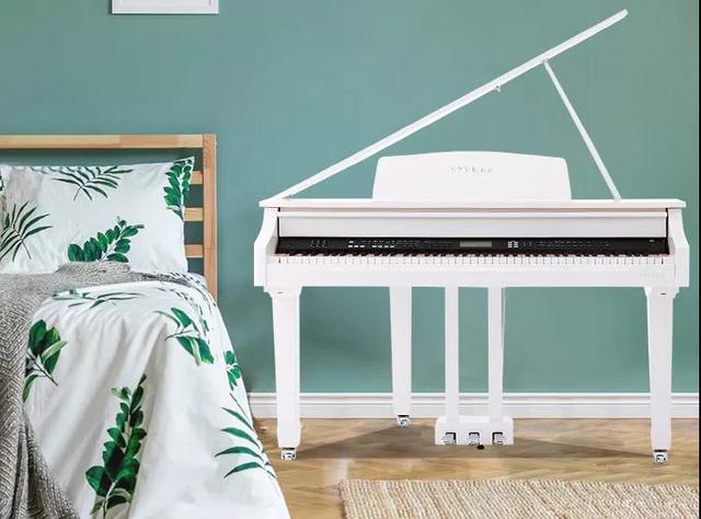 网上购买电钢琴注意事项(能在网上买电钢琴吗)