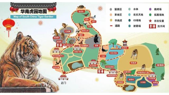 深圳市宠物猫繁育基地(猫和老虎能繁育后代吗)