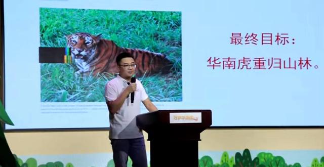 深圳市宠物猫繁育基地(猫和老虎能繁育后代吗)
