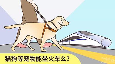 带宠物怎么坐火车(火车可带宠物吗)