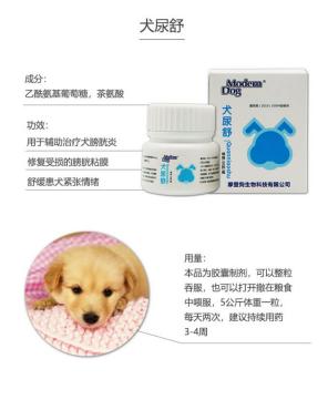 宠物狗膀胱炎的治疗方法(狗膀胱炎)