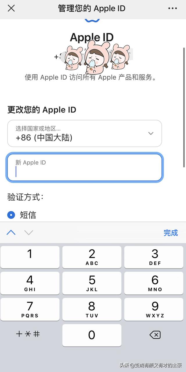 苹果手机id格式示范(苹果手机账号和id格式)