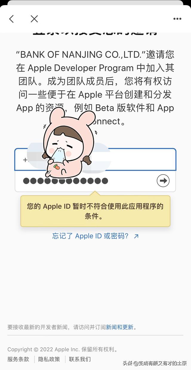 苹果手机id格式示范(苹果手机账号和id格式)