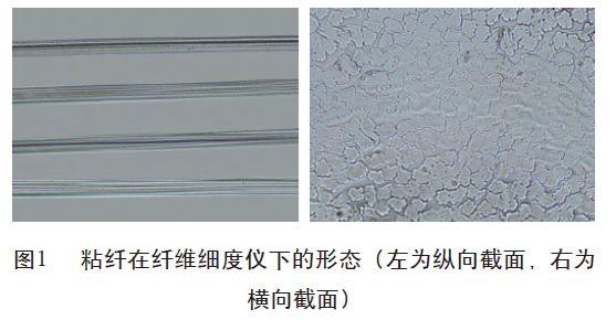 莫代尔和粘纤的区别(莫代尔纤维和粘纤)