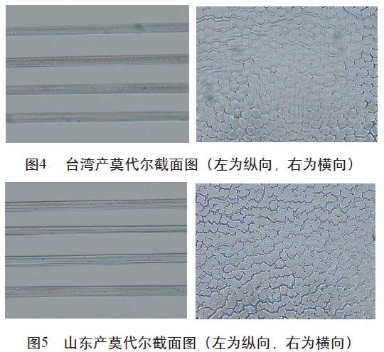 莫代尔和粘纤的区别(莫代尔纤维和粘纤)
