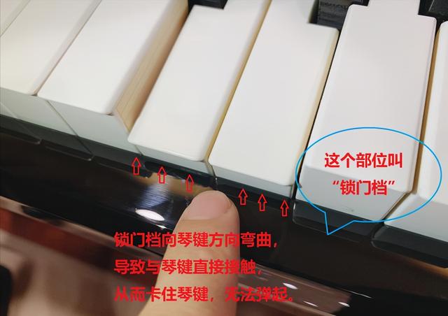 钢琴键不回弹的原因与处理方法(钢琴键按下去弹不起来)