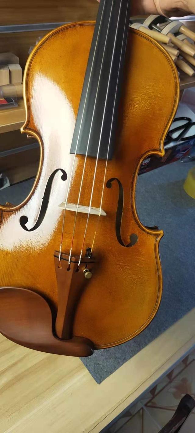 学小提琴大概多少钱一年(小提琴学一年多少钱)