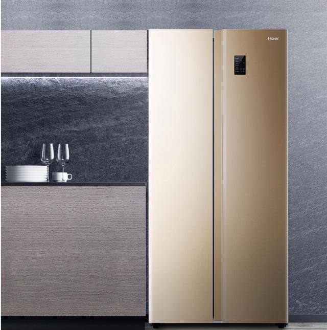 双门冰箱有几种尺寸(常规双门冰箱尺寸多少)