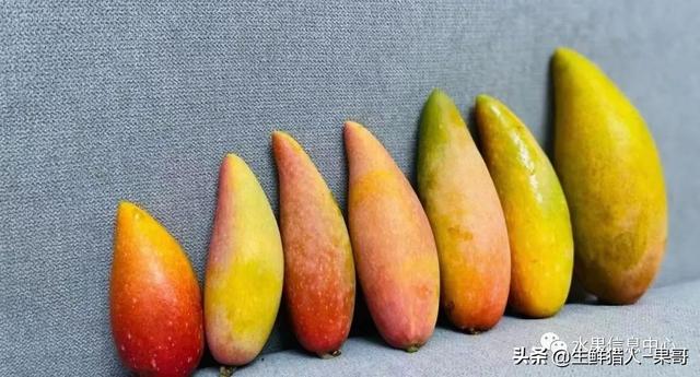 海南50种水果大全(常见的100个水果图片)