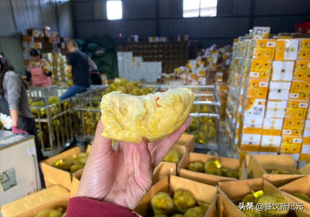 榴莲多少钱一斤现在市场价(目前榴莲价格多少一斤)