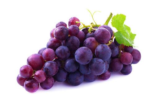 葡萄品种排名前十红宝石葡萄(高端葡萄品种)