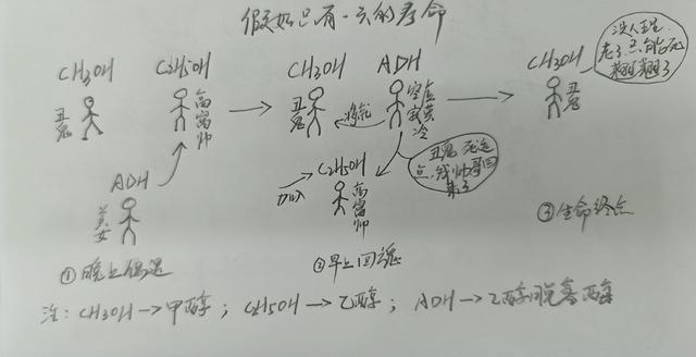 喝酒第二天吃什么养胃最好(醉酒后吃什么食物养胃)