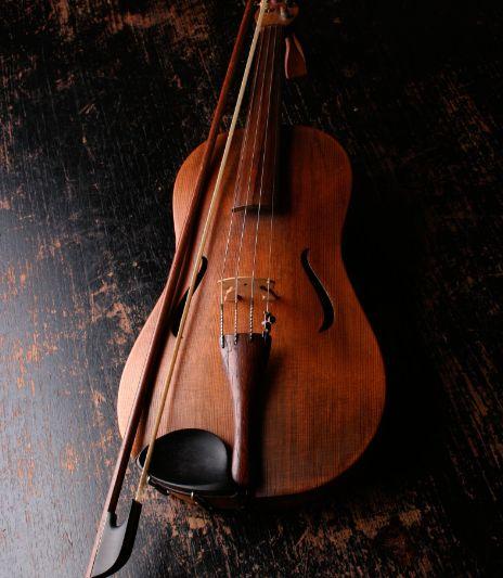 十种不适合学小提琴的人(小提琴要学多久)